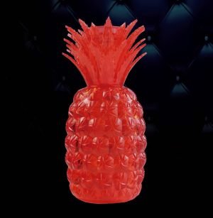 ACRYLIC HOOKAH | 6058