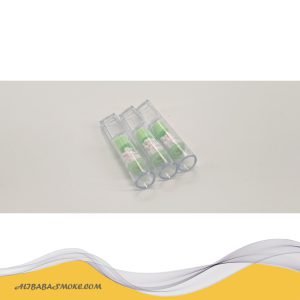 Disposable cigarette holder filter 2 IN 1