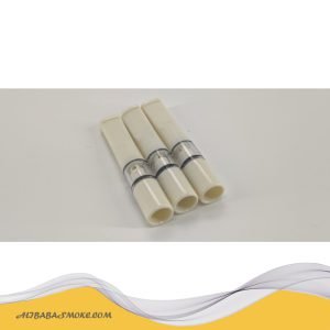 Disposable cigarette holder long term filter