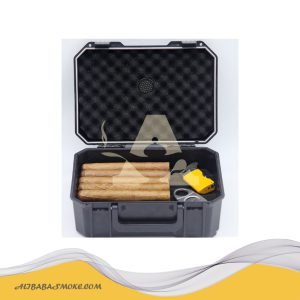 Portable 10ct-mini cigar plastic box waterproof and pressure resistant
