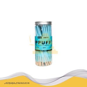 ART2403-110-TOP-100-lan